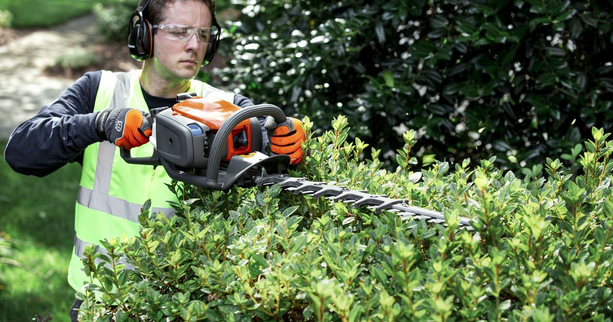 Hedge Trimming