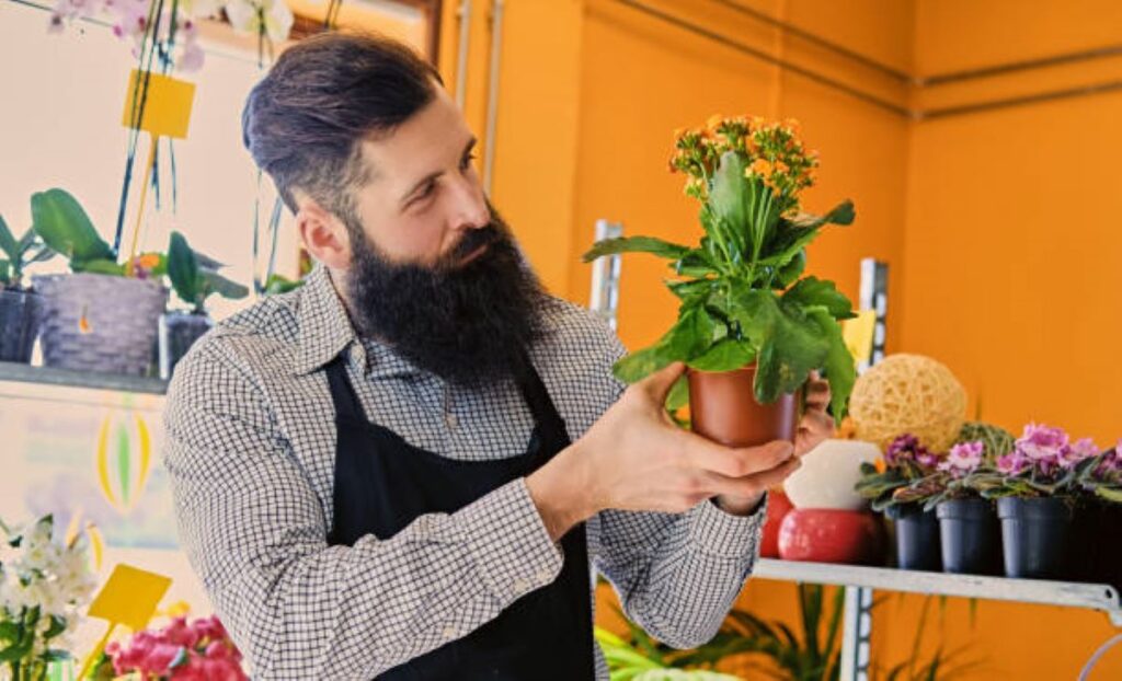 Greenwich Florist